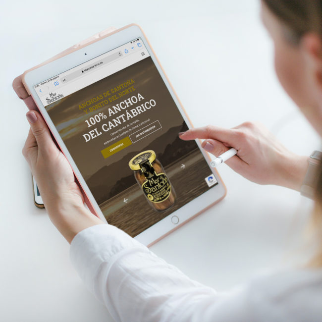 Diseño landing page en Santander - Mar de Santoña