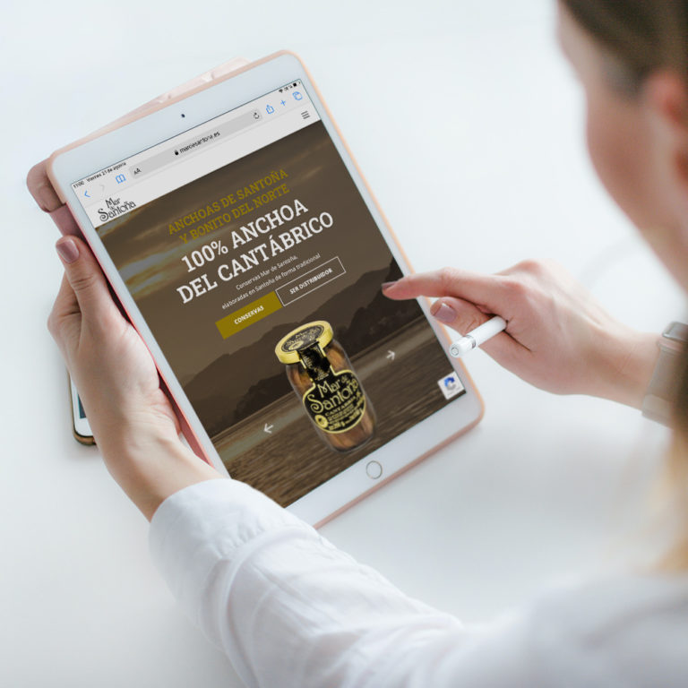 Diseño landing page en Santander - Mar de Santoña